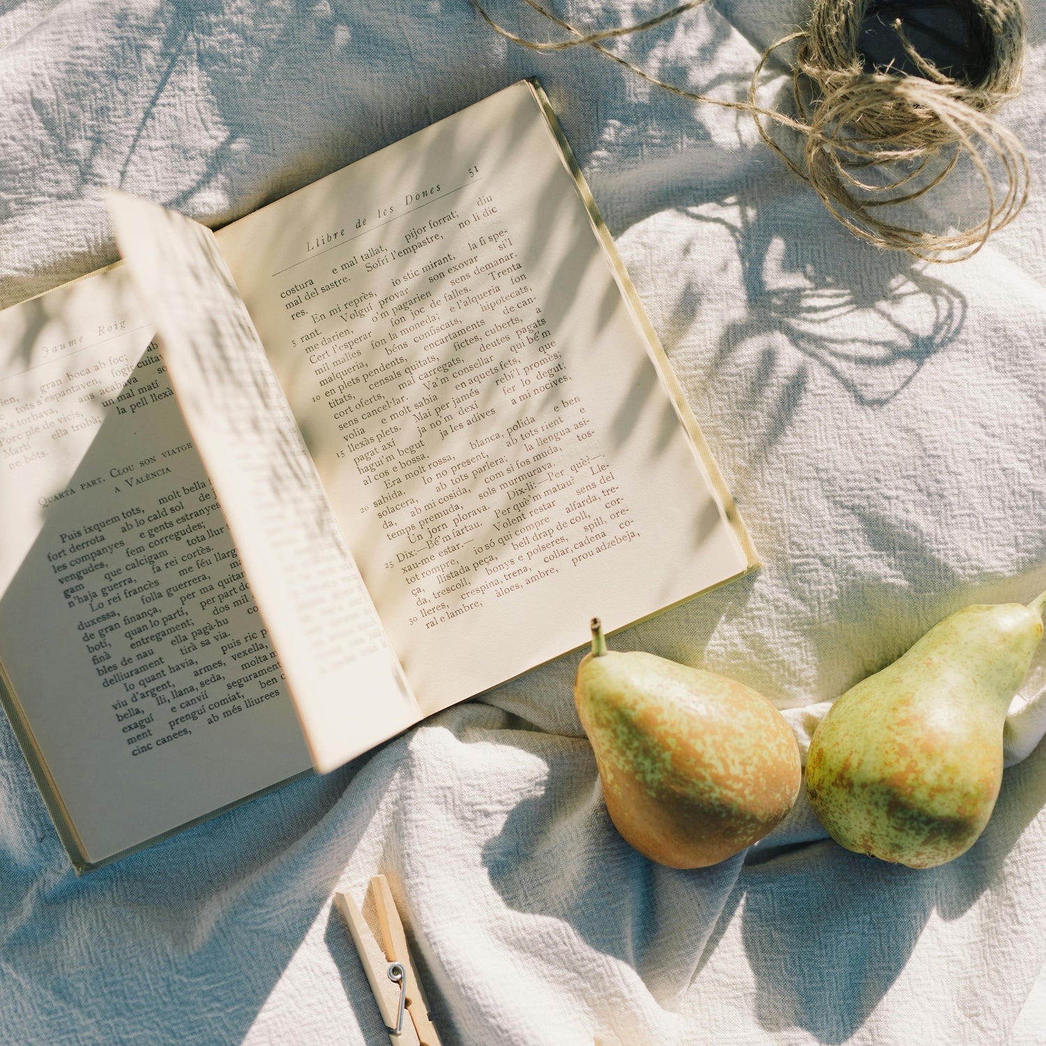 Semne de carte magnetice cu fructe