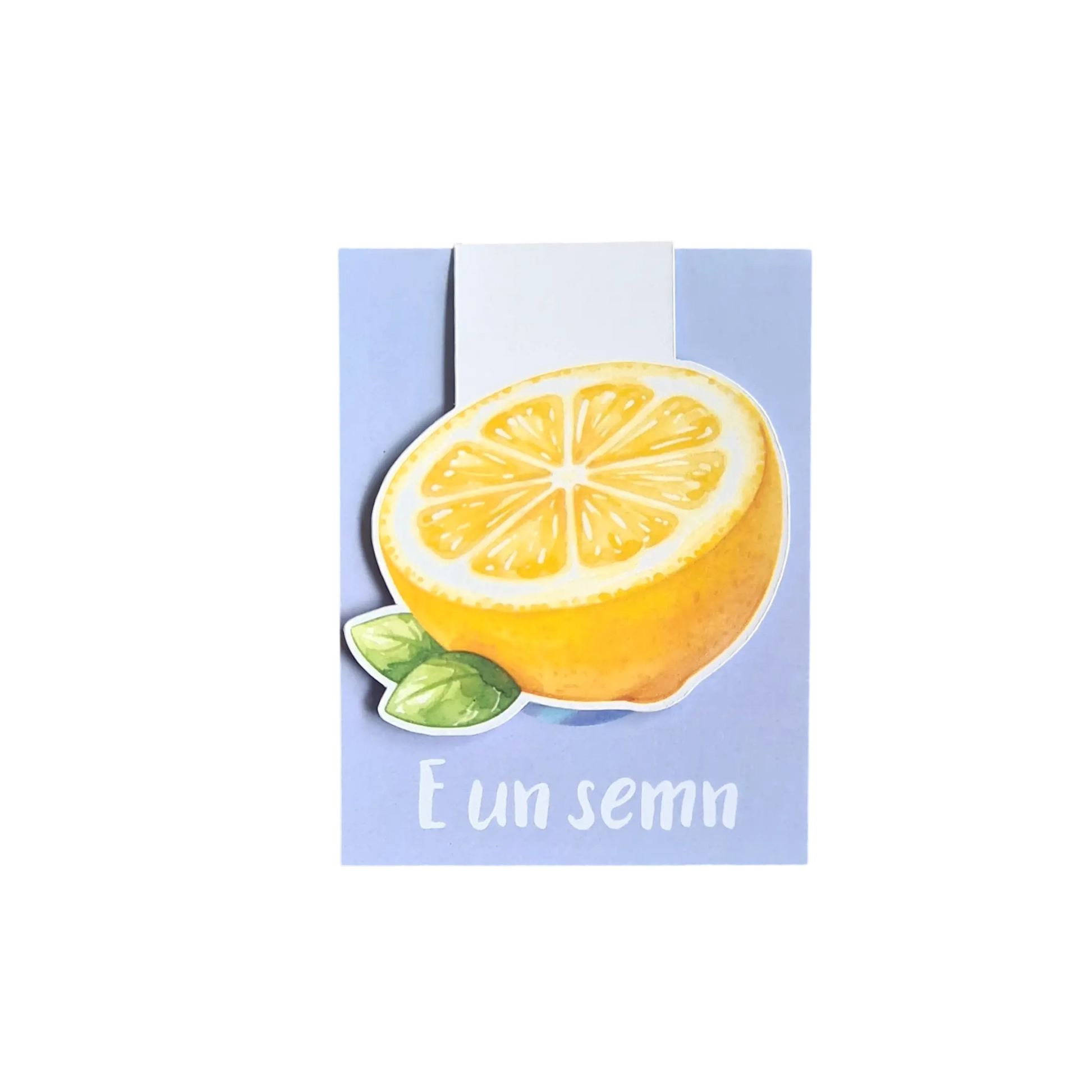 Semn de carte magnetic handmade cu jumătate de lămâie, realizat în România, potrivit pentru cărți, agende și planere.