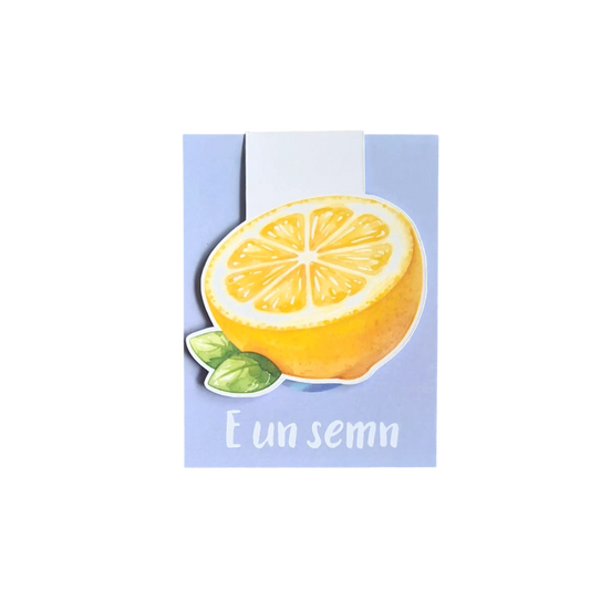 Semn de carte magnetic handmade cu jumătate de lămâie, realizat în România, potrivit pentru cărți, agende și planere.