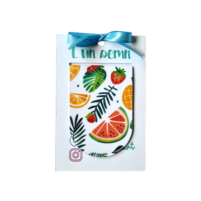 Semn de Carte Magnetic Fructe Colorate