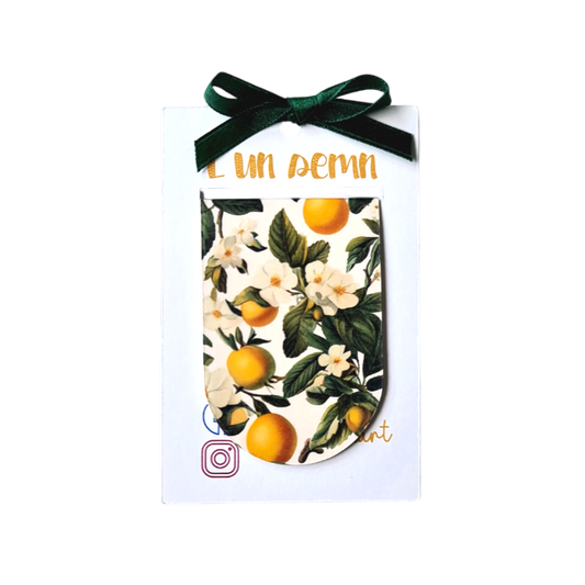 Semn de Carte Magnetic Lămâi