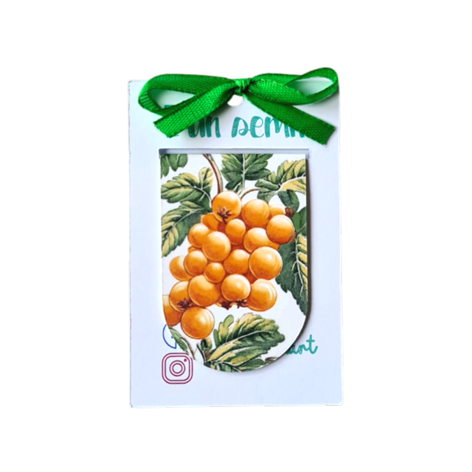 Semn de Carte Magnetic Struguri