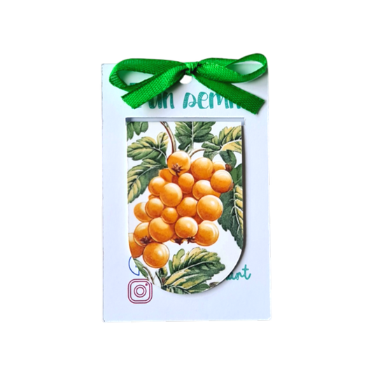 Semn de Carte Magnetic Struguri