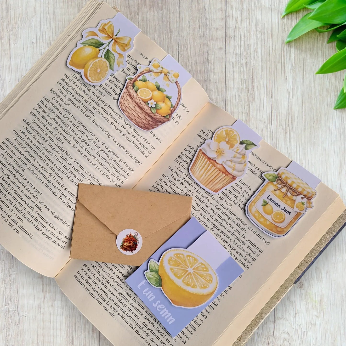 Semn de carte magnetic handmade cu lămâi folosit în carte deschisă pentru marcare pagină